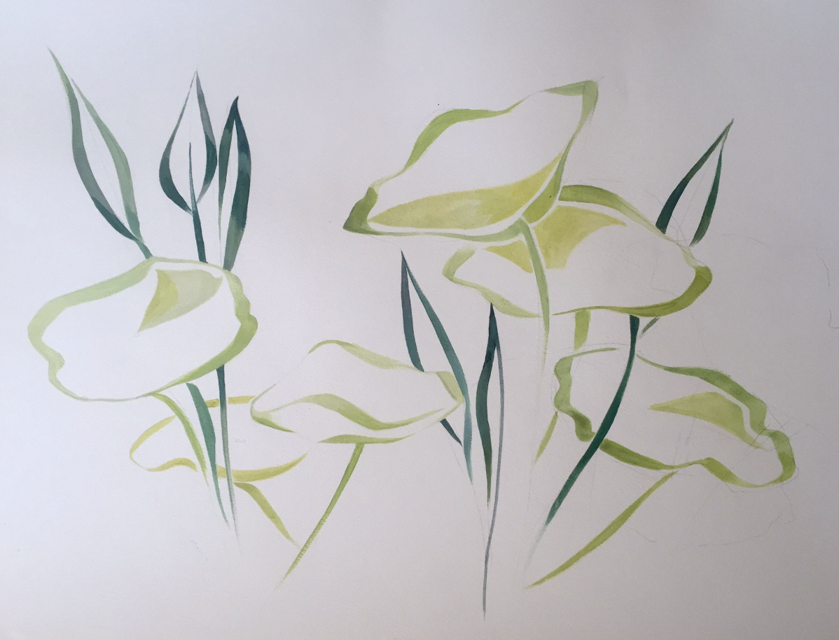 Watercolour of pale green flowers