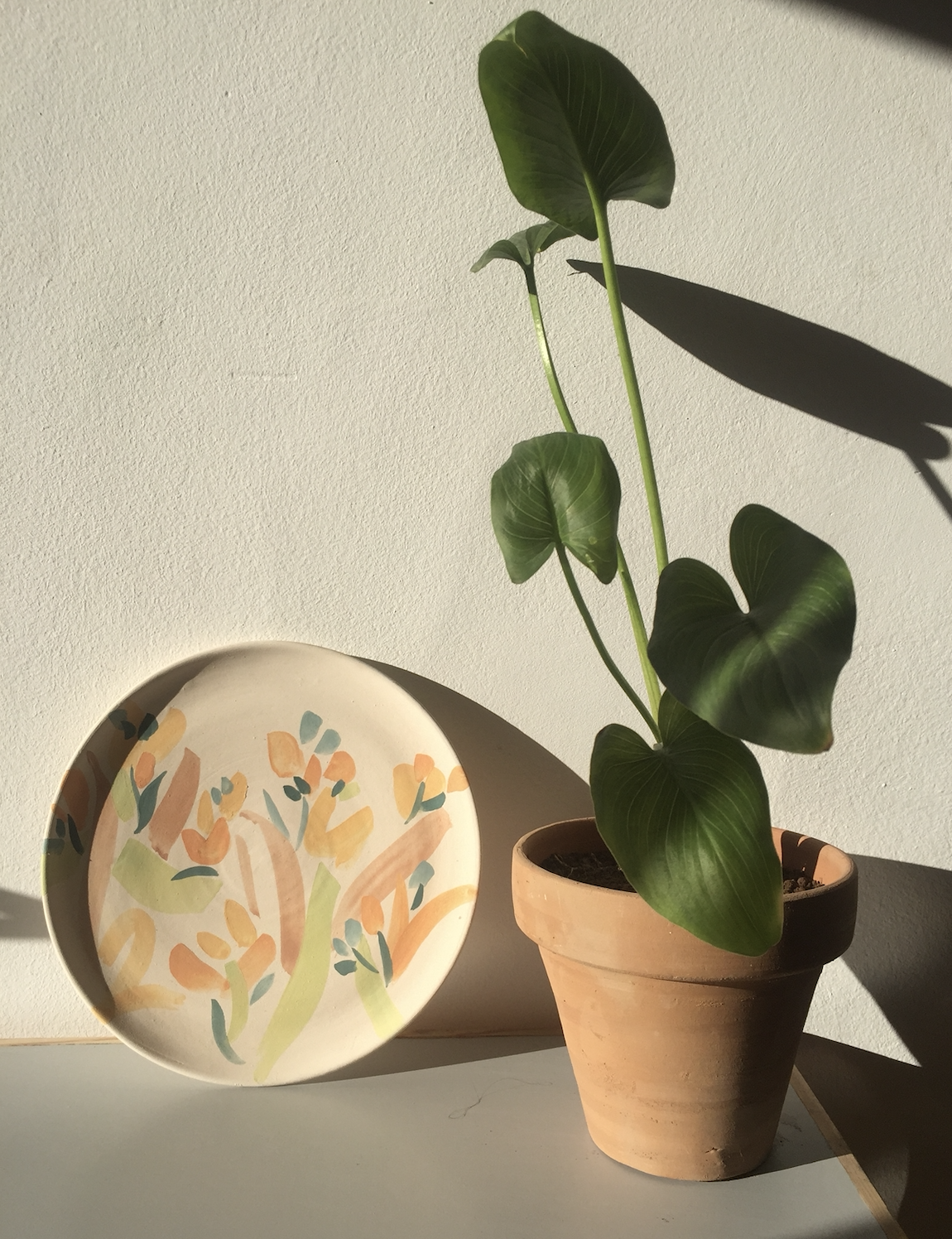 Painted ceramic plate beside a potted plant