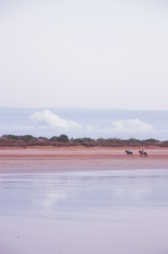 Soft pink shoreline and open sky